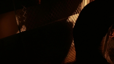 ftwd101_1512.jpg