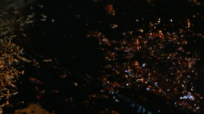 ftwd101_1753.jpg