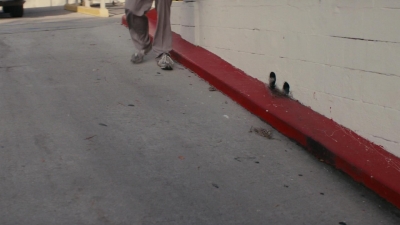 ftwd101_2716.jpg