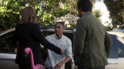 ftwd101_3081.jpg