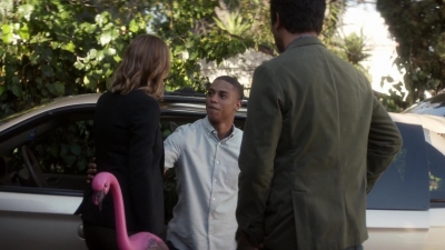 ftwd101_3085.jpg