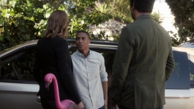 ftwd101_3086.jpg