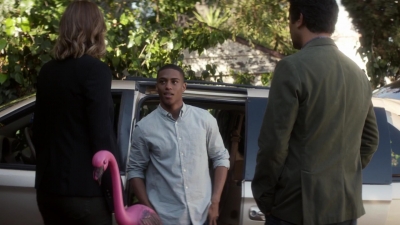 ftwd101_3090.jpg