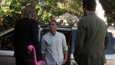 ftwd101_3094.jpg