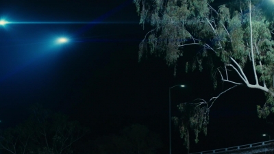 ftwd101_3391.jpg