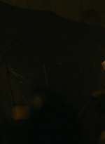 ftwd101_1717.jpg