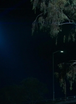 ftwd101_3389.jpg