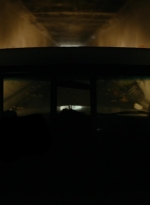 ftwd101_4375.jpg