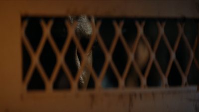 ftwd102_2329.jpg