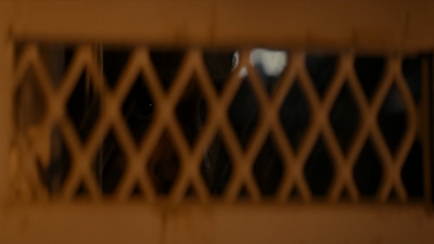 ftwd102_2345.jpg
