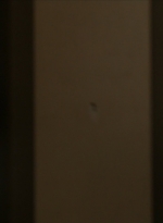 ftwd102_1072.jpg