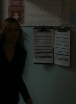 ftwd102_1146.jpg