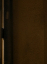 ftwd102_1657.jpg