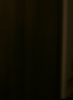 ftwd102_2648.jpg