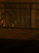ftwd102_2682.jpg