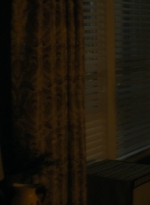 ftwd103_0058.jpg
