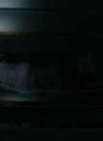 ftwd103_0773.jpg
