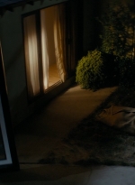 ftwd103_1510.jpg