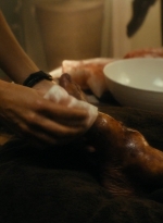 ftwd104_0041.jpg