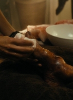 ftwd104_0042.jpg