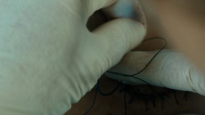 ftwd105_0513.jpg