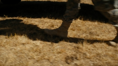 ftwd105_1476.jpg