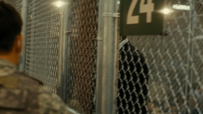 ftwd105_1862.jpg
