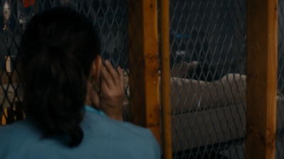 ftwd105_2213.jpg