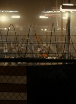 ftwd105_0009.jpg
