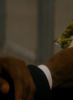 ftwd105_0113.jpg