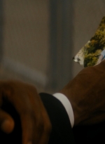 ftwd105_0114.jpg