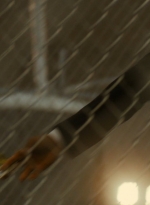 ftwd105_0164.jpg