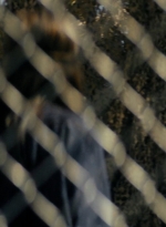 ftwd105_0235.jpg
