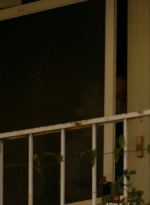 ftwd105_0248.jpg