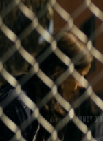 ftwd105_0316.jpg