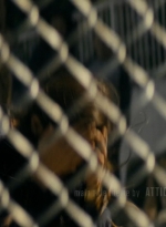 ftwd105_0317.jpg
