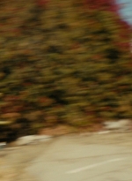 ftwd105_0355.jpg