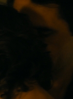 ftwd105_0465.jpg