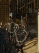 ftwd105_1060.jpg