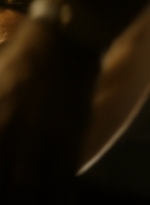 ftwd105_1111.jpg