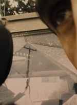ftwd105_1422.jpg