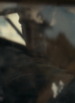 ftwd105_1467.jpg