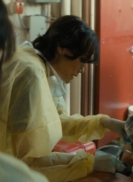 ftwd105_1501.jpg