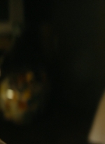 ftwd105_1633.jpg