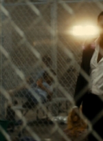 ftwd105_1856.jpg