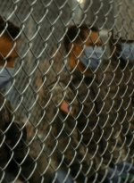 ftwd105_1859.jpg