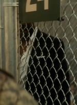 ftwd105_1861.jpg