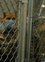 ftwd105_1867.jpg