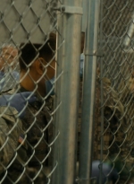 ftwd105_1868.jpg