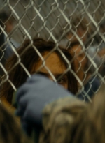 ftwd105_1874.jpg